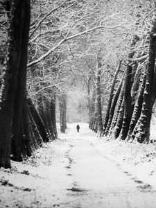 Preview wallpaper man, silhouette, trees, snow, alone, nature