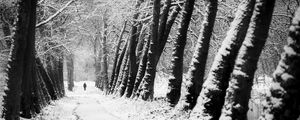 Preview wallpaper man, silhouette, trees, snow, alone, nature