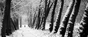 Preview wallpaper man, silhouette, trees, snow, alone, nature