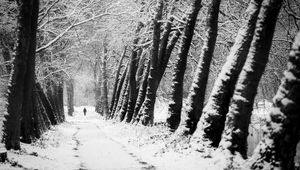 Preview wallpaper man, silhouette, trees, snow, alone, nature