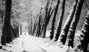 Preview wallpaper man, silhouette, trees, snow, alone, nature