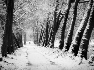 Preview wallpaper man, silhouette, trees, snow, alone, nature