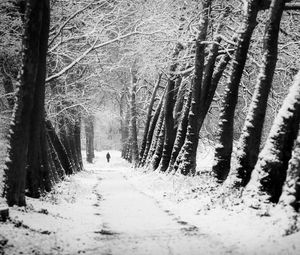Preview wallpaper man, silhouette, trees, snow, alone, nature