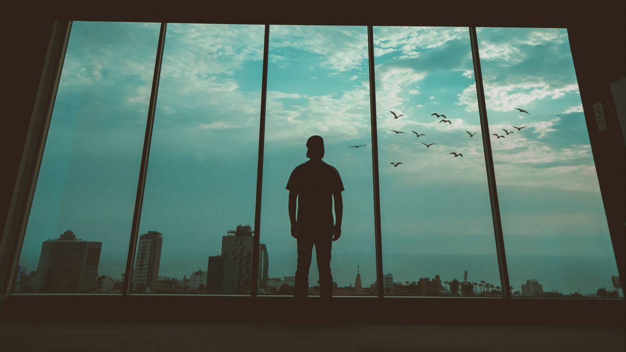 Wallpaper man, silhouette, window, birds