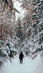 Preview wallpaper man, skier, skiing, forest, snow, winter