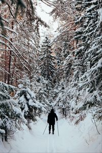 Preview wallpaper man, skier, skiing, forest, snow, winter