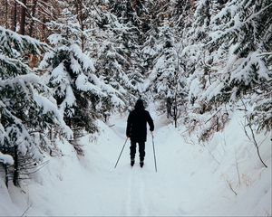 Preview wallpaper man, skier, skiing, forest, snow, winter