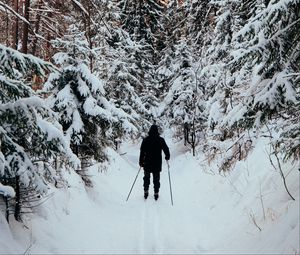 Preview wallpaper man, skier, skiing, forest, snow, winter