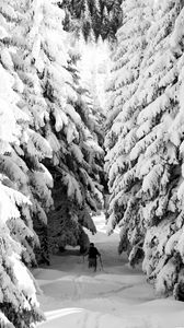 Preview wallpaper man, skiing, snow, winter, forest, nature