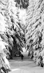 Preview wallpaper man, skiing, snow, winter, forest, nature