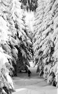 Preview wallpaper man, skiing, snow, winter, forest, nature