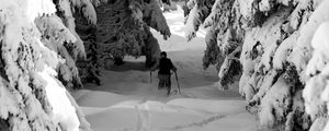 Preview wallpaper man, skiing, snow, winter, forest, nature