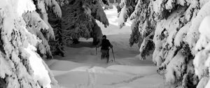 Preview wallpaper man, skiing, snow, winter, forest, nature