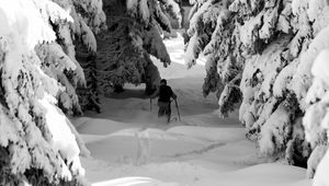Preview wallpaper man, skiing, snow, winter, forest, nature