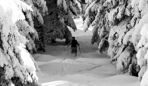 Preview wallpaper man, skiing, snow, winter, forest, nature
