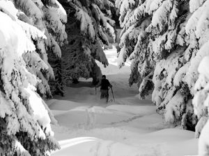 Preview wallpaper man, skiing, snow, winter, forest, nature