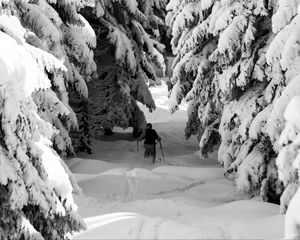 Preview wallpaper man, skiing, snow, winter, forest, nature