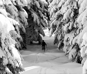 Preview wallpaper man, skiing, snow, winter, forest, nature