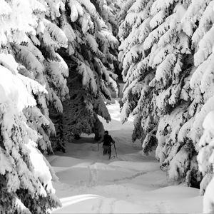 Preview wallpaper man, skiing, snow, winter, forest, nature