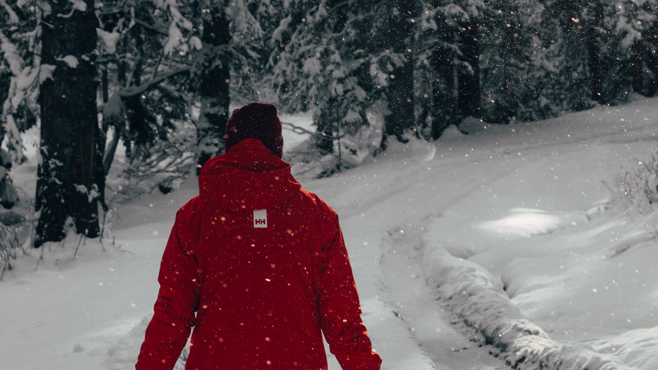 Wallpaper man, snow, trees, winter, walk