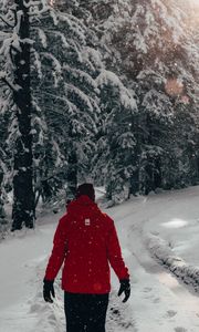 Preview wallpaper man, snow, trees, winter, walk