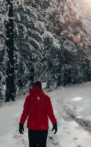 Preview wallpaper man, snow, trees, winter, walk