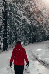 Preview wallpaper man, snow, trees, winter, walk