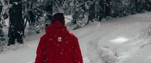 Preview wallpaper man, snow, trees, winter, walk