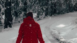 Preview wallpaper man, snow, trees, winter, walk