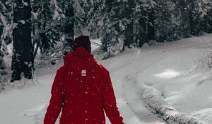 Preview wallpaper man, snow, trees, winter, walk
