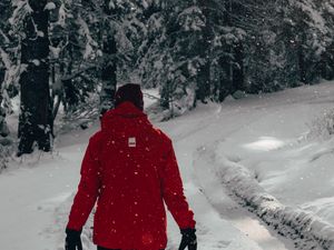 Preview wallpaper man, snow, trees, winter, walk
