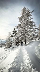 Preview wallpaper man, trees, snow, alone, winter