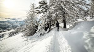 Preview wallpaper man, trees, snow, alone, winter