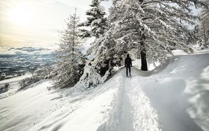 Preview wallpaper man, trees, snow, alone, winter