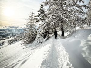 Preview wallpaper man, trees, snow, alone, winter