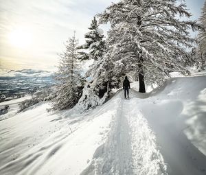 Preview wallpaper man, trees, snow, alone, winter