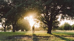 Preview wallpaper man, trees, sunlight, summer