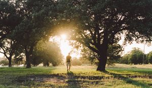 Preview wallpaper man, trees, sunlight, summer