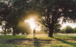 Preview wallpaper man, trees, sunlight, summer