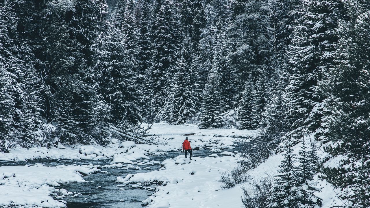 Wallpaper man, winter, river, snow, trees