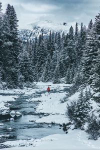 Preview wallpaper man, winter, river, snow, trees