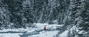 Preview wallpaper man, winter, river, snow, trees