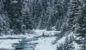 Preview wallpaper man, winter, river, snow, trees