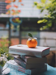 Preview wallpaper mandarin, books, table, reading, light