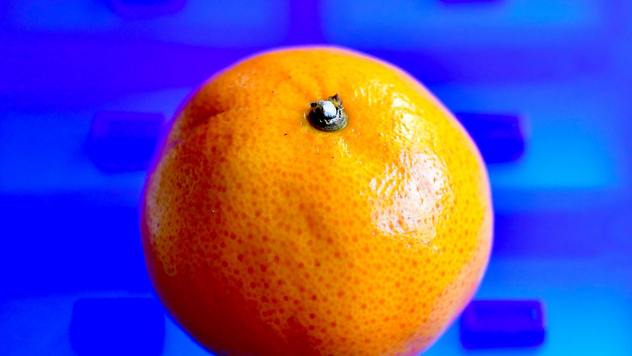 Wallpaper mandarin, fruit, citrus, photoshop, blue