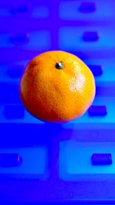 Preview wallpaper mandarin, fruit, citrus, photoshop, blue