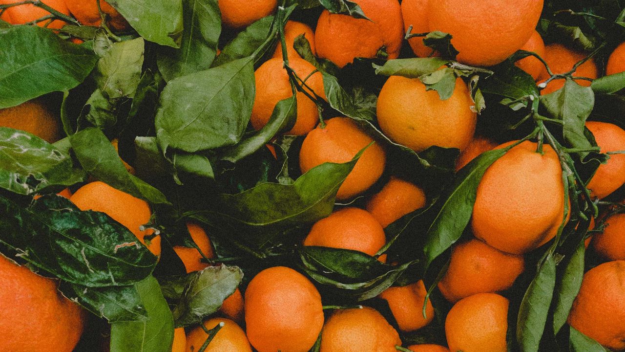 Wallpaper mandarins, citrus, fruit, leaves