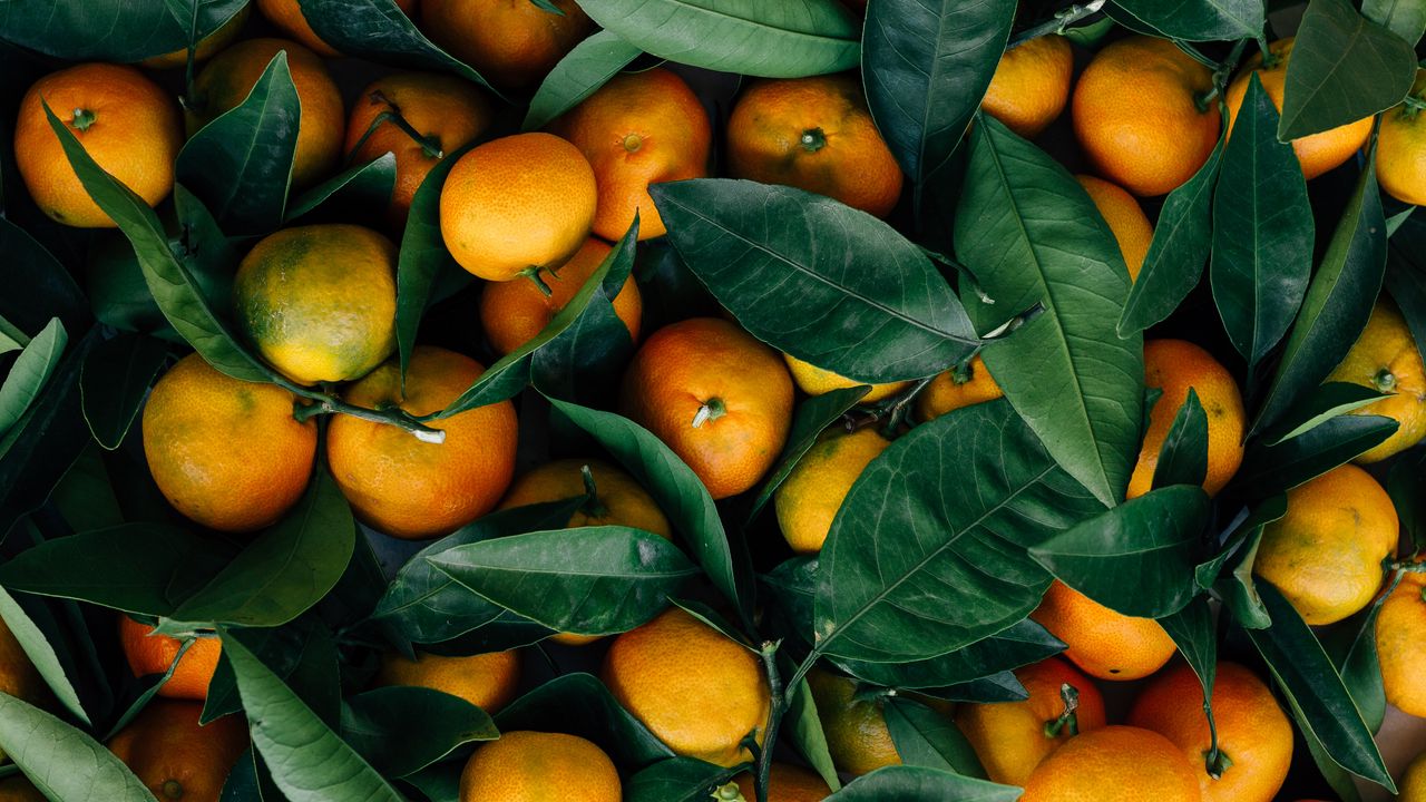 Wallpaper mandarins, fruits, citrus, leaves