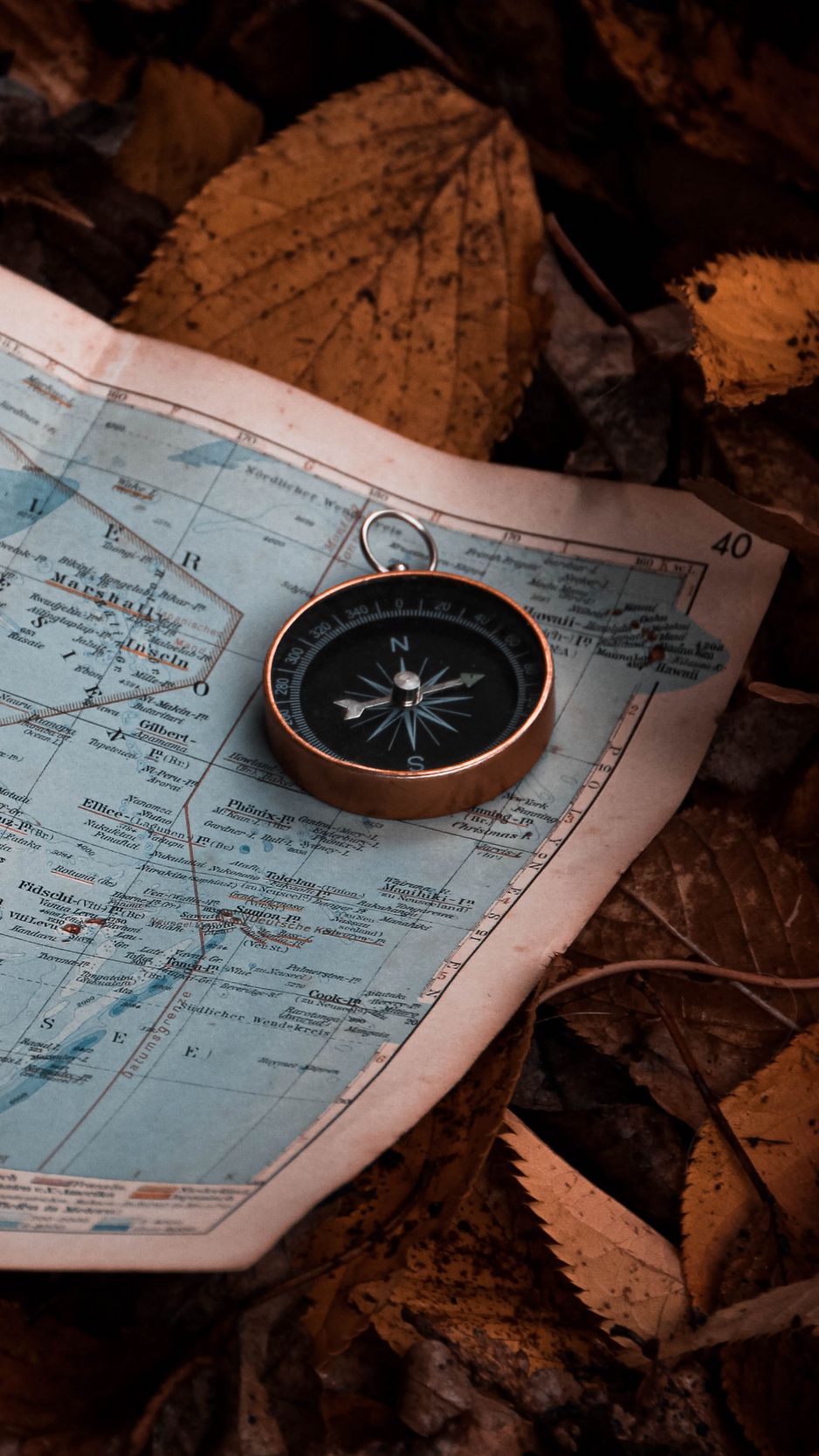Vintage Map with Compass Wallpaper Mural • Wallmur®