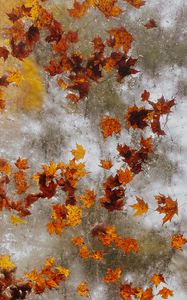 Preview wallpaper maple, autumn, leaves, ice